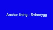 Anchor lining – Svinerygg
