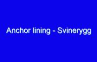 Blücher – Norsk Dykking i 2016