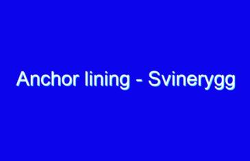 Anchor lining – Svinerygg