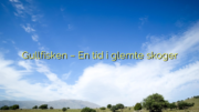 Gullfisken – En tid i glemte skoger
