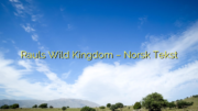 Rauls Wild Kingdom – Norsk Tekst